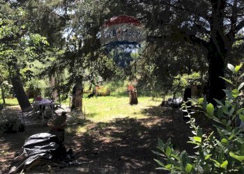 Giardino - Casa semi indipendente Rosignano Marittimo - foto 69