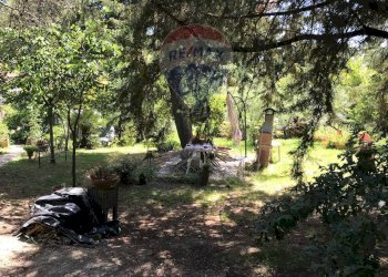 Giardino - Casa semi indipendente Rosignano Marittimo - foto 70