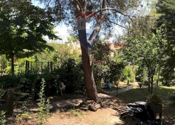 Giardino - Casa semi indipendente Rosignano Marittimo - foto 71