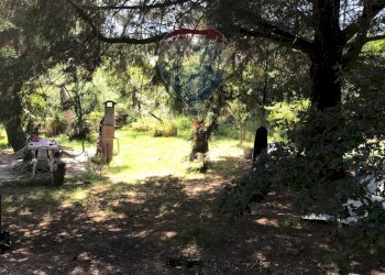 Giardino - Casa semi indipendente Rosignano Marittimo - foto 72