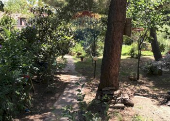 Giardino - Casa semi indipendente Rosignano Marittimo - foto 73