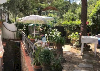 Giardino - Casa semi indipendente Rosignano Marittimo - foto 85