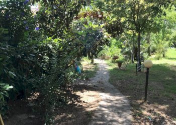 Giardino - Casa semi indipendente Rosignano Marittimo - foto 86