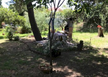 Giardino - Casa semi indipendente Rosignano Marittimo - foto 87