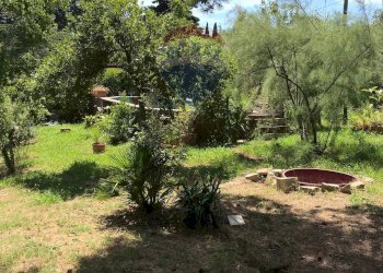 Giardino - Casa semi indipendente Rosignano Marittimo - foto 88