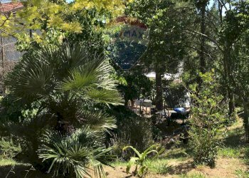 Giardino - Casa semi indipendente Rosignano Marittimo - foto 89