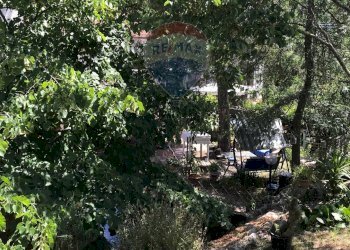 Giardino - Casa semi indipendente Rosignano Marittimo - foto 94