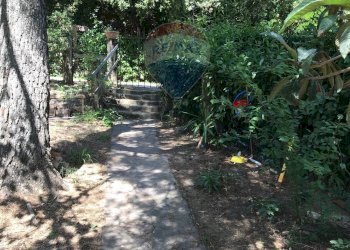 Giardino - Casa semi indipendente Rosignano Marittimo - foto 99