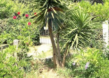 Giardino - Casa semi indipendente Rosignano Marittimo - foto 100