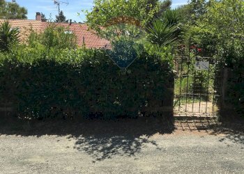 Giardino - Casa semi indipendente Rosignano Marittimo - foto 101