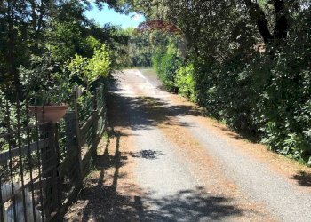 Giardino - Casa semi indipendente Rosignano Marittimo - foto 102