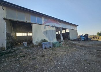 Casa all\'aperto - Locale Commerciale Suvereto - foto 1