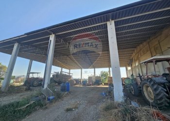 Parcheggio - Locale Commerciale Suvereto - foto 3