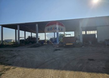 Edificio all\'aperto - Locale Commerciale Suvereto - foto 4