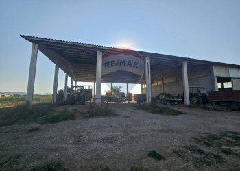 Parcheggio - Locale Commerciale Suvereto - foto 5