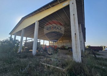 Casa all\'aperto - Locale Commerciale Suvereto - foto 6