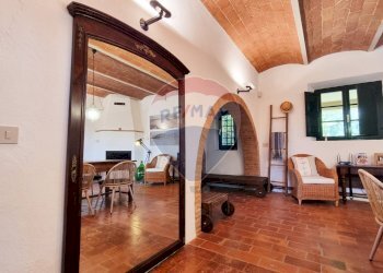 Terrazza - Rustico Guardistallo - foto 16