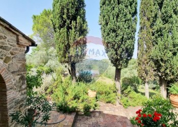 Giardino - Rustico Guardistallo - foto 24