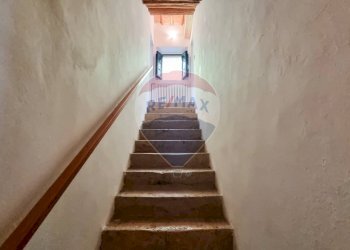 Scale - Rustico Guardistallo - foto 29