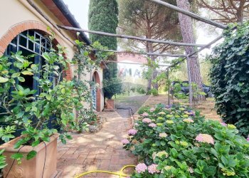 Giardino - Rustico Guardistallo - foto 45