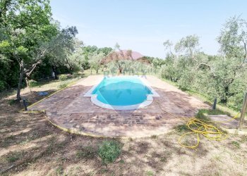 Piscina - Rustico Guardistallo - foto 49