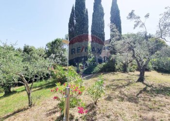 Giardino - Rustico Guardistallo - foto 50