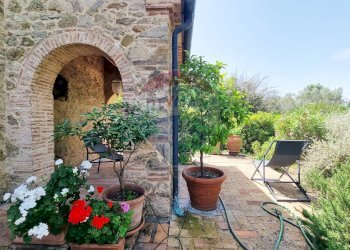 Terrazza - Rustico Guardistallo - foto 52