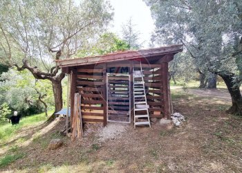 Casa all\'aperto - Rustico Guardistallo - foto 53