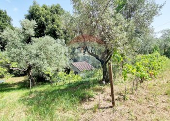 Giardino - Rustico Guardistallo - foto 56