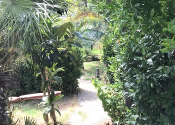 Giardino - Casa indipendente Rosignano Marittimo - foto 25