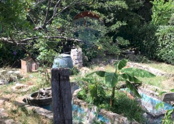 Giardino - Casa indipendente Rosignano Marittimo - foto 27