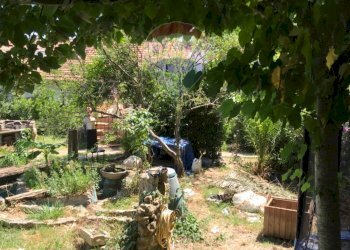 Giardino - Casa indipendente Rosignano Marittimo - foto 28