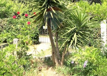 Giardino - Casa indipendente Rosignano Marittimo - foto 30