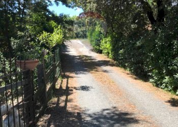 Giardino - Casa indipendente Rosignano Marittimo - foto 31