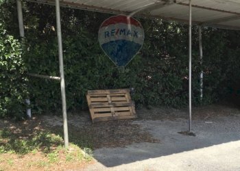 Giardino - Casa indipendente Rosignano Marittimo - foto 32