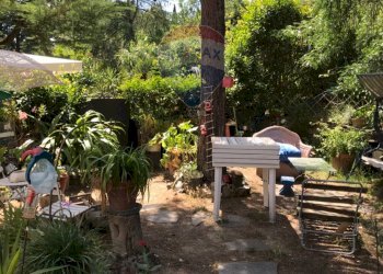 Giardino - Casa semi indipendente Rosignano Marittimo - foto 4