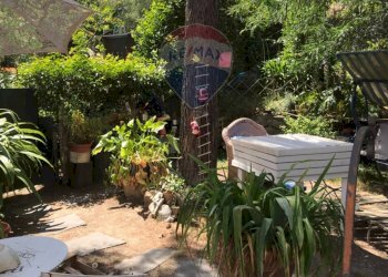 Giardino - Casa semi indipendente Rosignano Marittimo - foto 5