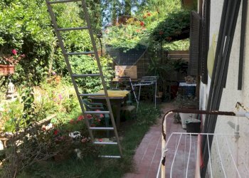 Giardino - Casa semi indipendente Rosignano Marittimo - foto 34