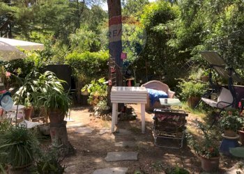 Giardino - Casa semi indipendente Rosignano Marittimo - foto 36