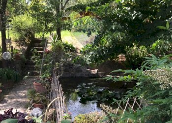 Giardino - Casa semi indipendente Rosignano Marittimo - foto 37