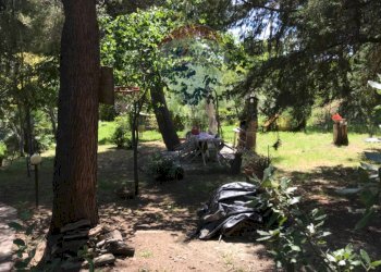 Giardino - Casa semi indipendente Rosignano Marittimo - foto 38