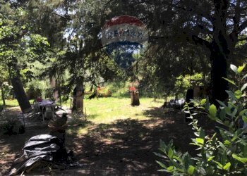 Giardino - Casa semi indipendente Rosignano Marittimo - foto 39