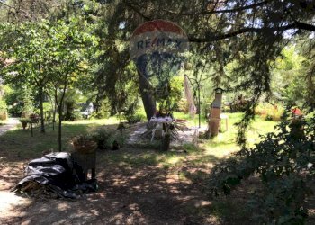 Giardino - Casa semi indipendente Rosignano Marittimo - foto 40