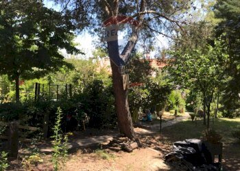 Giardino - Casa semi indipendente Rosignano Marittimo - foto 41