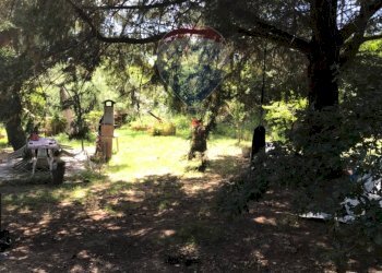 Giardino - Casa semi indipendente Rosignano Marittimo - foto 42