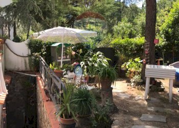 Giardino - Casa semi indipendente Rosignano Marittimo - foto 55