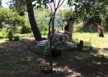 Giardino - Casa semi indipendente Rosignano Marittimo - foto 57