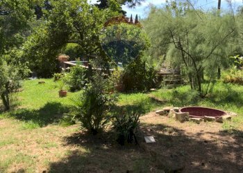 Giardino - Casa semi indipendente Rosignano Marittimo - foto 58