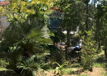 Giardino - Casa semi indipendente Rosignano Marittimo - foto 59