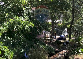 Giardino - Casa semi indipendente Rosignano Marittimo - foto 64